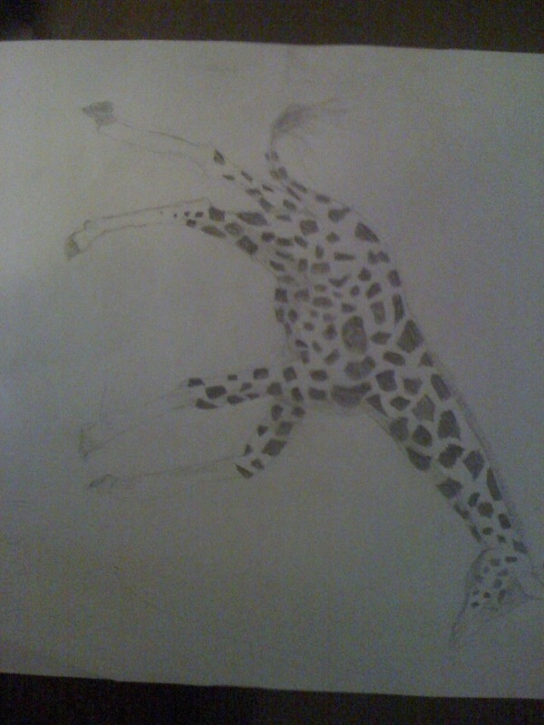 Creation of Meanwhile in the Desert: Step 3